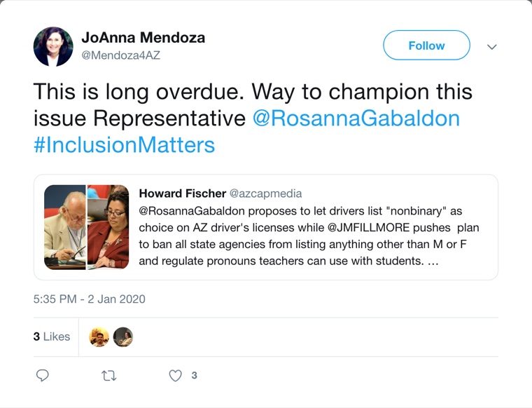 Screenshot of a January 2, 2020 post from JoAnna Mendoza’s campaign account backing nonbinary driver’s licenses